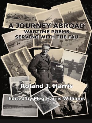 cover image of A Journey Abroad